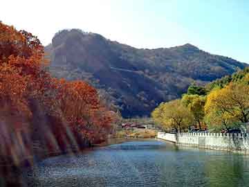 新澳门正版免费大全，日本山田气动隔膜泵